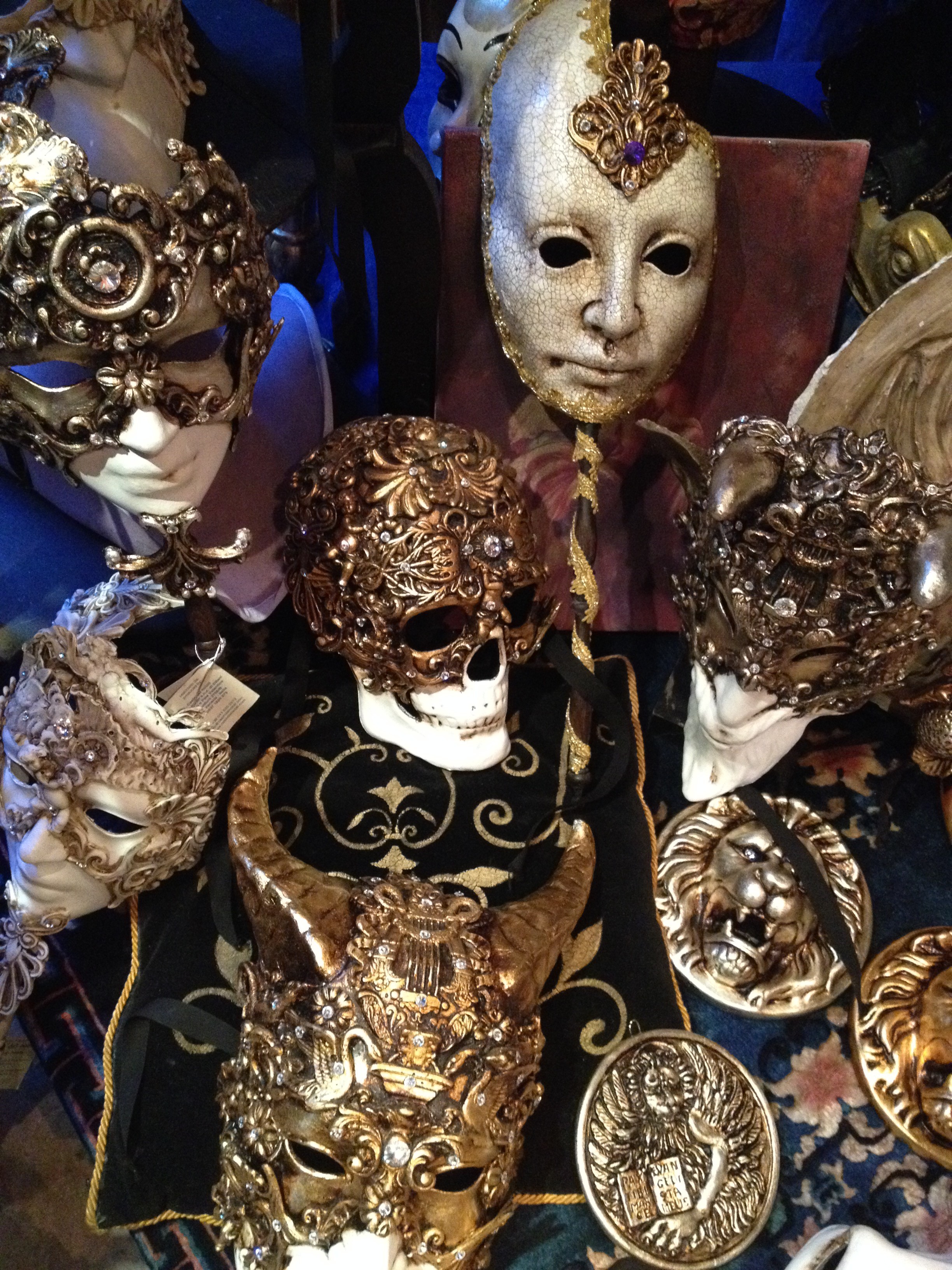 Venice_Masks_Skull (DeenaDanielle)